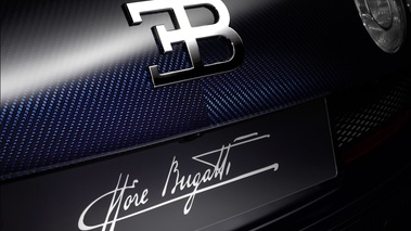 Bugatti Veyron Grand Sport Vitesse Ettore Bugatti - détail, carbone 