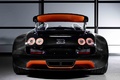 Bugatti Veyron Grand Sport Vitesse WRC Edition face arrière