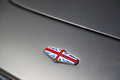 David Brown Speedback GT anthracite logo capot