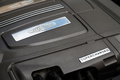 David Brown Speedback GT anthracite logos moteur