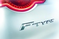 Jaguar F-Type - proto camouflé - détail, logo