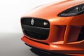 Jaguar F-Type S V6 orange calandre