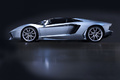 Lamborghini Aventador Roadster - bleu Azzuro Thetis - profil gauche