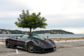 Pagani Zonda F Roadster carbone 3/4 avant droit 2