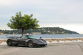 Pagani Zonda F Roadster carbone 3/4 avant droit 9