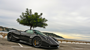 Pagani Zonda F Roadster carbone 3/4 avant droit penché 6