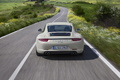 Porsche 911 50 - grise - face arrière, dynamique