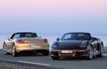 Porsche Boxster - jaune & marron