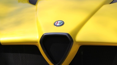 Alfa Romeo TZ3 Stradale jaune calandre