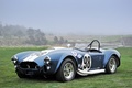 AC Cobra bleu, 3-4 avg