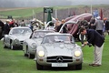 Mercedes 300 SL, grise action face