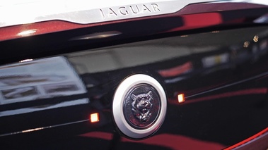 Bertone B99 logo coffre