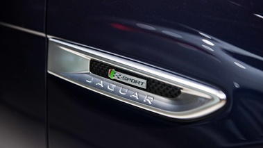 Mondial de l'Automobile de Paris 2016 - Jaguar F-Pace R-Sport bleu logo aile avant