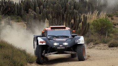 Dakar 2013 Chicherit 
