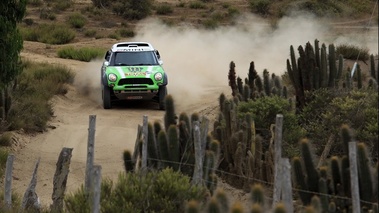 Dakar 2013 Mini Peterhansel