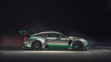 Bentley Continental GT3 blanc/vert profil