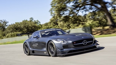 Mercedes SLS AMG GT3 45th Anniversary 3/4 avant