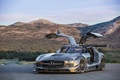 Mercedes SLS AMG GT3 45th Anniversary statique portes ouvertes