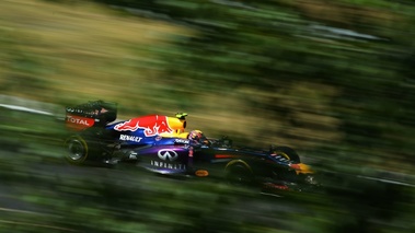 F1 GP Hongrie 2013 Red Bull arbre