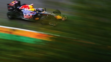 Spa 2011 Red Bull arbres