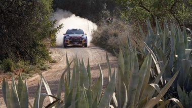 Portugal 2012 Citroën Loeb végétation