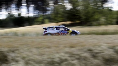 WRC Finlande 2012 Citroën Hirvonen profil