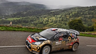 WRC France 2013 Loeb profil