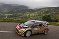 WRC France 2013 Loeb profil