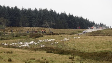 WRC Grande-Bretagne 2012 Citroën paysage