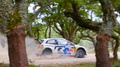 WRC Italie 2013 Volkswagen Polo Latvala profil