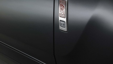 Rolls-Royce 200EX-gris/noir-détail aile logo
