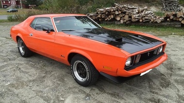 FORD Mustang 1973 - sam1